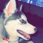 Jaxon Ray - @yo_boi_jaxon_ray - Instagram