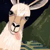 Jaxon Yoder - @jaxon.yoder - TikTok