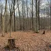 Jaxon Davidson - @jaxon.davidson - TikTok