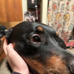 Jaxson Freeman - Facebook