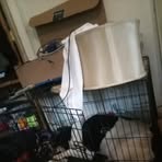 Jaxson Hunt - Facebook
