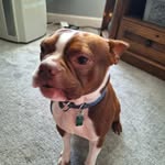 Jaxson Hunt - @bubba_nator10 - Instagram