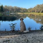 Jaxson Hunt - @jaxsonhunt941 - Instagram