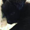 Jaxson Keith - @lucythegoodgirl - TikTok