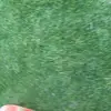 jaxson.marsh - @jaxson.marsh - TikTok