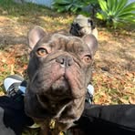 Jaxson McBride - Facebook