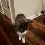 Jaxson Pierce - @pierce_jaxson - Instagram