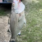Jaxon Whitaker - Facebook