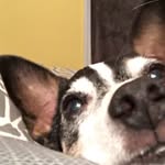Jackson Yates - @_jackson.yates_ - Instagram