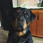 jayaddison - @jayaddison4127 - Instagram