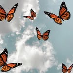 Jay Agnew - @agnew_jay - Instagram