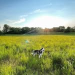 Jay Alam - @instahip - Instagram