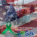Jay Albertson - Facebook