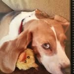 Jay Allison - @jayallison65 - Instagram