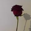 Ajay  Ashworth - @ajay.ashworth - TikTok