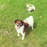 Jaybaugh - @jaybaugh1514 - Instagram