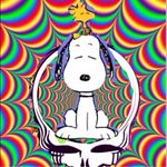 Jay Beardsley - @semisnoopy - Instagram