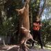Jayden Beardsley - Facebook