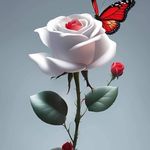 Jaybend Rajput - @rajputjaybend - Instagram