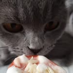 Jaymie Hopkinbergstein - @jaybergstein - Instagram