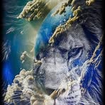 Jay Bernardo - Facebook