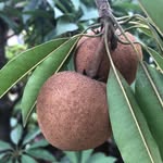 Jay Bernardo - @17th_of_may - Instagram