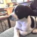 Jay Bryson Kambestad - Facebook