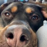 Jay Blanchard - @jayjay264_me - Instagram