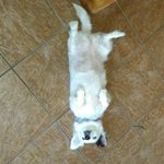 Jay Blanchard - @jayblanchard630 - Instagram