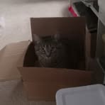 Jay Blanchard - Facebook