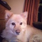 Jay Bomberger - @jaybomberger - Instagram