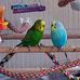 Jay Borden  - Facebook