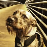 Bosley J - @bosley_jay - Instagram