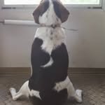 Jay Bosley - @dolphin.5802307 - Instagram