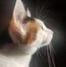Jay Bowers - Facebook