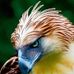 Jay Bradt - Facebook