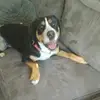 Jayden Brander - @jayden.brander - TikTok