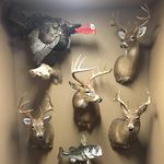 Jason Branham - @jaybranham - Instagram