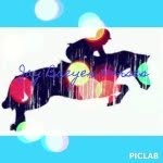 Giveaway Ends At 1100 - @jay_breyer_horses_ - Instagram