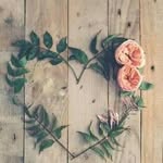 jaybrey - @jaybrey2803 - Instagram