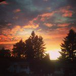 Jay Bricker Photography - @jaybrickerphotography - Instagram