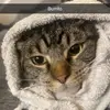 Jayden Brinson - @jayden.brinson3 - TikTok