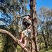Jay Burney - Facebook