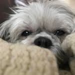 Jay Burney - @jay_burney8 - Instagram