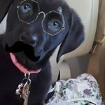 Jay Burroughs - @burroughs.jay - Instagram
