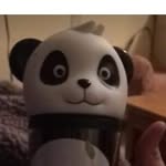jay - @jaybushnell123 - Instagram