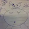 jaybushnell - @jaybushnell9 - TikTok