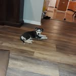 Jay Call - @jaycalus - Instagram