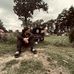 Jay Capone - Facebook