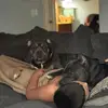 Jay Champion - @jay.champion0 - TikTok